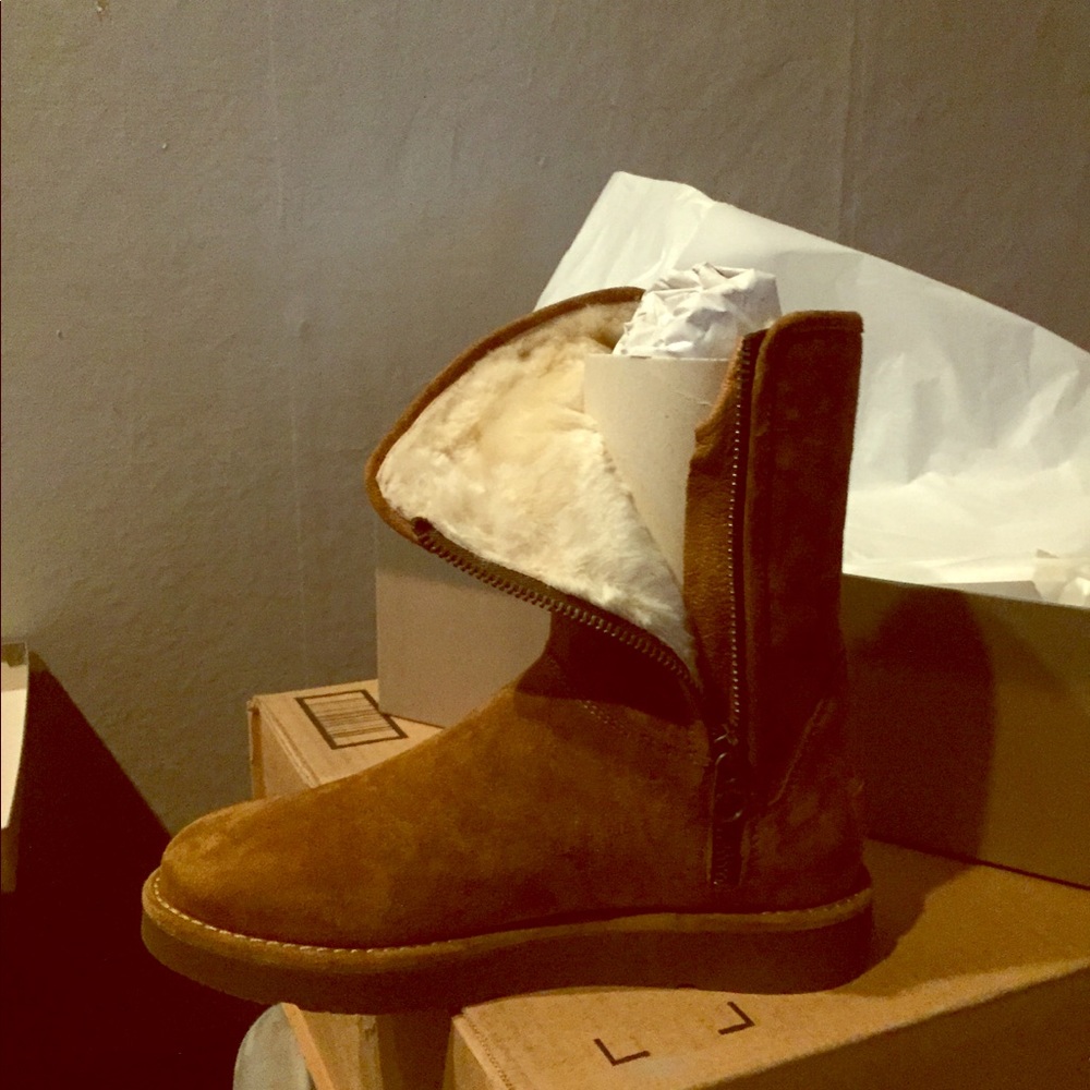 Brand new uggs